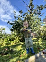 «Простые радости родной земли»